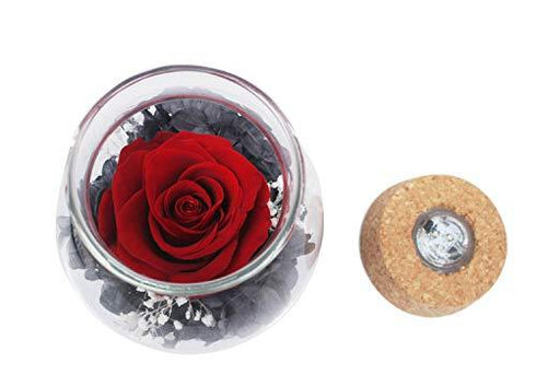 Real Rose in Glass